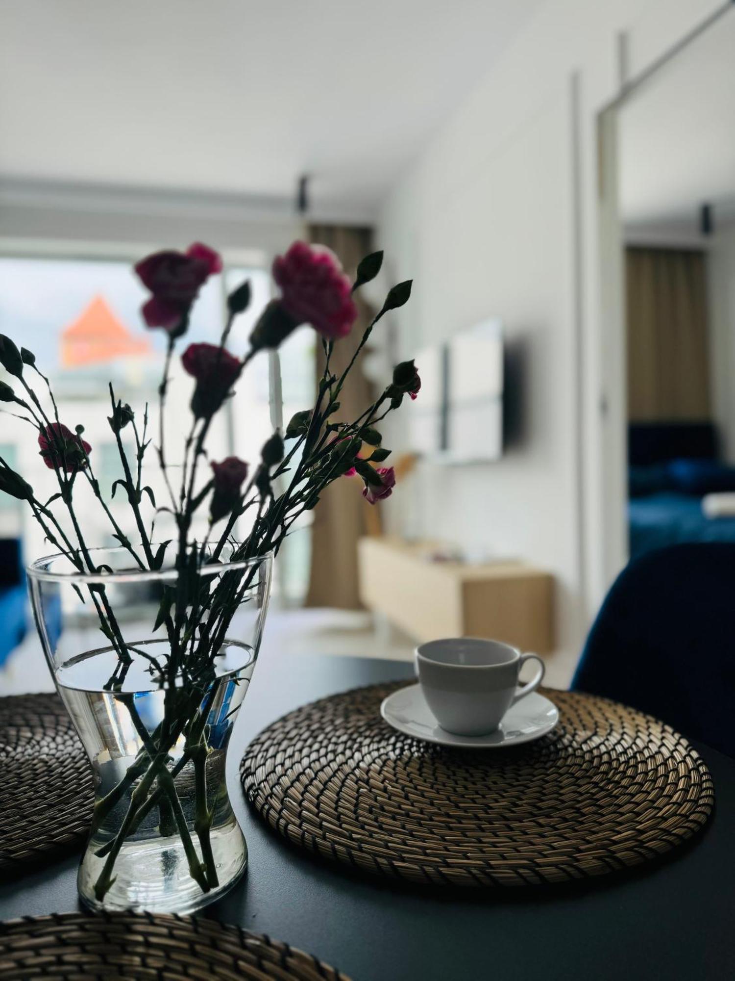 Apartament Penthouse21 Oświęcim Zewnętrze zdjęcie